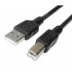 CONEXION USB  AM - BM 1,5m DCU basics