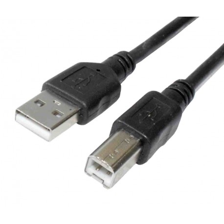 CONEXION USB  AM - BM 1,5m DCU basics