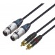 CONEXIÓN 2x XLR H NEUTRIK - 2x RCA M REAN 1m DCU