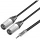 CONEXIÓN 2x XLR M NEUTRIK - JACK 3,5 ST REAN 2m DCU