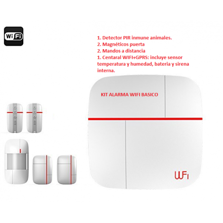 KIT SEGURIDAD IP BÁSICO IPNEON